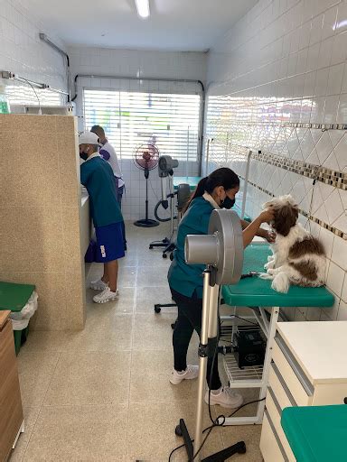 Clínica Veterinária e Pet Shop 1000 Patinhas Tatuapé São Paulo .